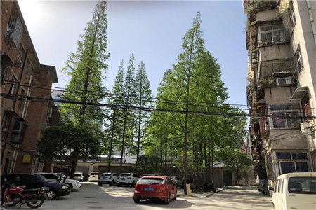 城西苏农汇丰6室2厅2卫80.6万300m2毛坯房出售