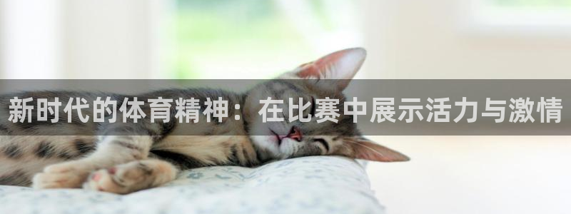 黑白体育ufc直播：新时代的体育精神：在比赛中展示活力与激情
