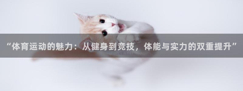 黑白体育免费观看nba
