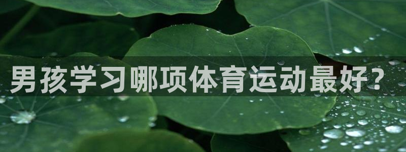黑白体育乐球直播