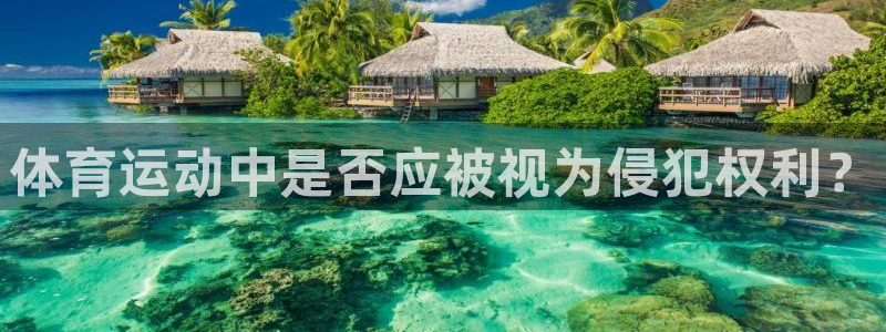 黑白体育NBA直播