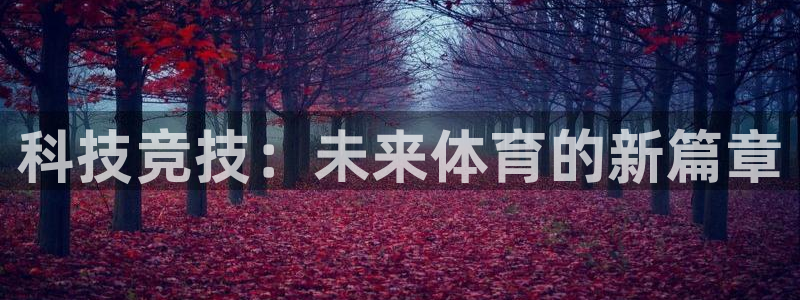 黑白体育台球