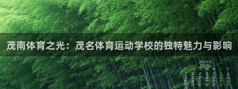 黑白体育免费观看nba