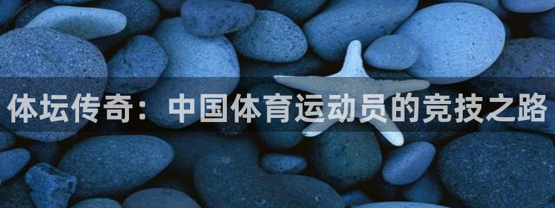黑白体育宋亚东ufc：体坛传奇：中国体育运动员的竞技之路
