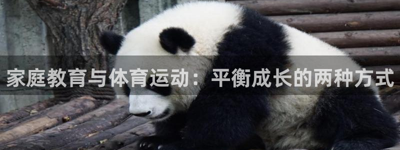 黑白体育jrs直播：家庭教育与体育运动：平衡成长的两种方式