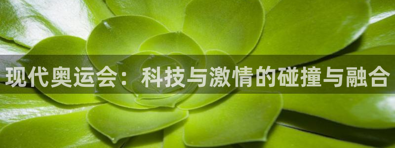 黑白体育乐球直播