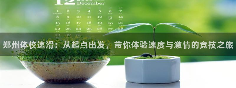 黑白体育赛事直播官网