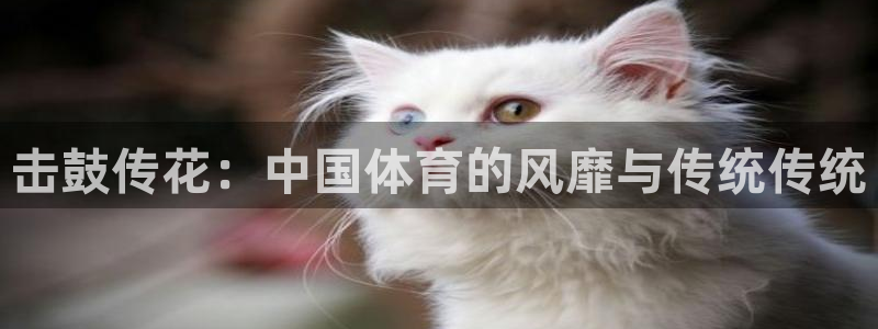 黑白体育老版本：击鼓传花：中国体育的风靡与传统传统