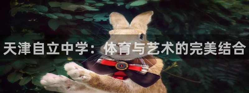 黑白体育曼城vs热刺