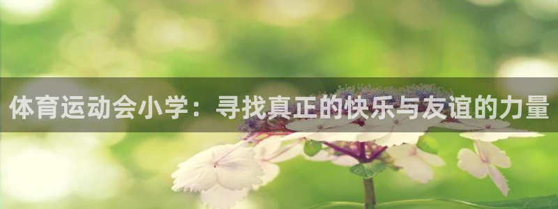 黑白体育生是什么意思：体育运动会小学：寻找真正的快乐与友谊的力量